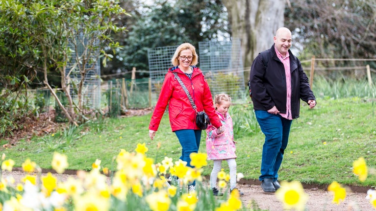 A family of three are walking along a path in the parkland, that's lined by bright yellow daffodils. The woman is wearing a red coat and glasses and holding a child's hand who's wearing a pink coat. A gentleman wearing a pink shirt, dark jacket and jeans is walking next to them. All three look to be in conservation and smiling widely.